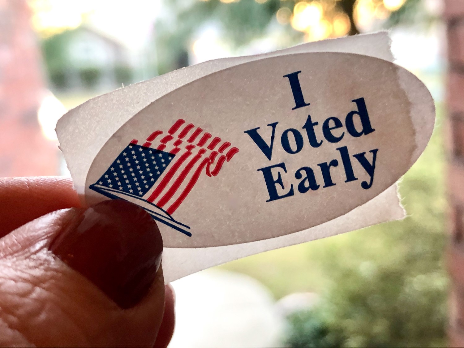 I voted early