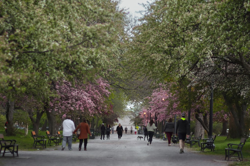 Students in Albany in Springtime